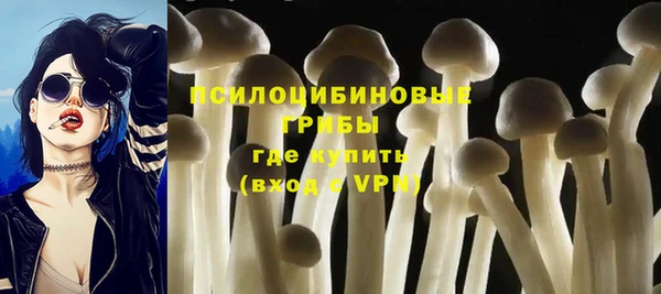 эйфоретик Абаза