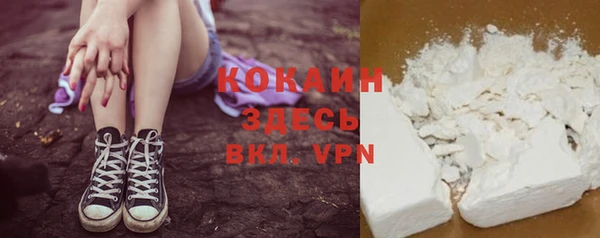 шишки Абинск