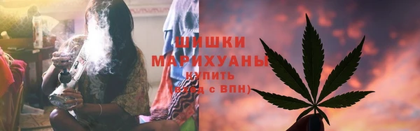 шишки Абинск