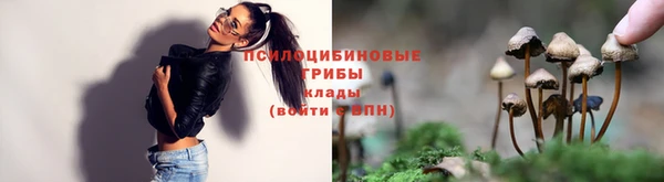 эйфоретик Абаза